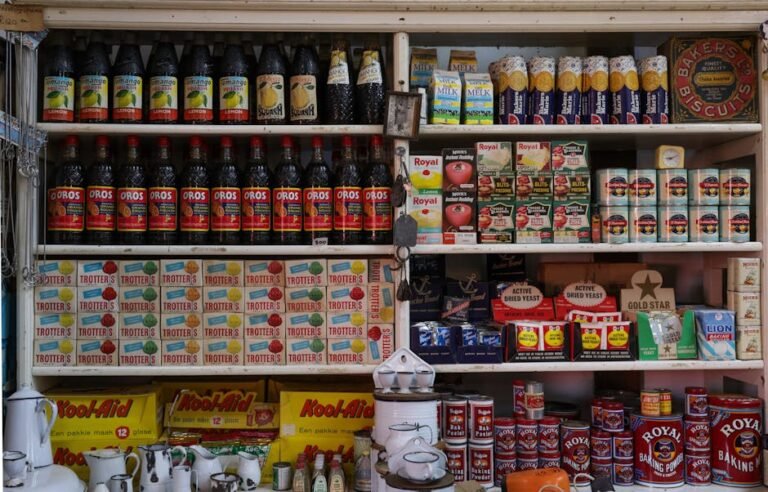 Explore a vintage grocery store shelf filled with bottles, canned goods, and more supplies.