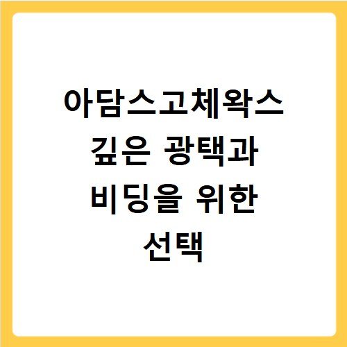 아담스고체왁스 깊은 광택과 비딩을 위한 선택