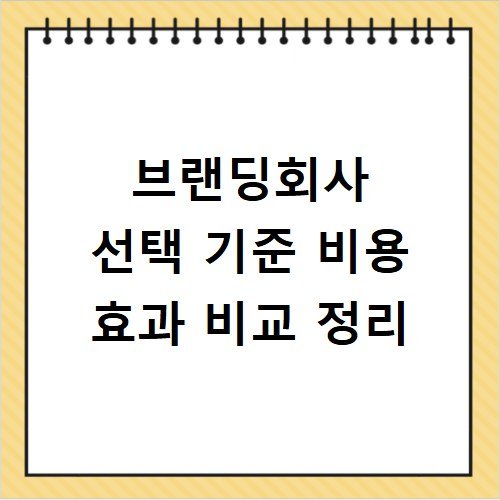 브랜딩회사 선택 기준 비용 효과 비교 정리
