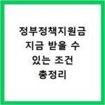 정부정책지원금 지금 받을 수 있는 조건 총정리