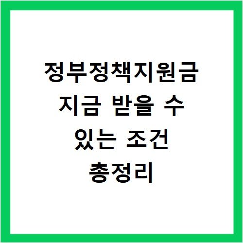 정부정책지원금 지금 받을 수 있는 조건 총정리