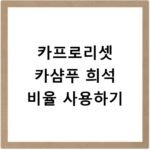 카프로리셋 카샴푸 희석 비율 사용하기