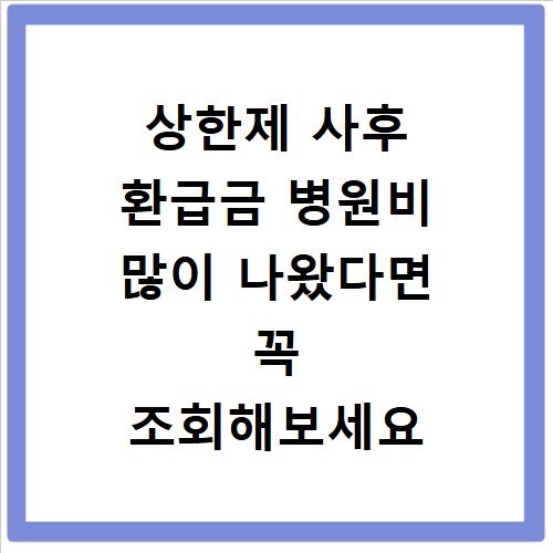상한제 사후 환급금 병원비 많이 나왔다면 꼭 조회해보세요