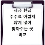 세금 환급 수수료 아깝지 않게 많이 찾아주는 곳 비교