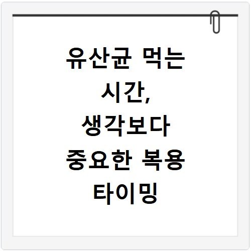유산균 먹는 시간, 생각보다 중요한 복용 타이밍 알아보기